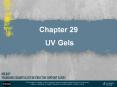 Chapter 29  UV Gels PowerPoint PPT Presentation