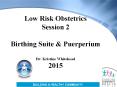Low Risk Obstetrics Session 2 Birthing Suite PowerPoint PPT Presentation