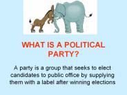 WHAT IS A POLITICAL PARTY?