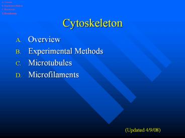 Cytoskeleton
