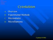 Cytoskeleton