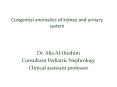 Congenital anomalies of kidney and urinary system PowerPoint PPT Presentation
