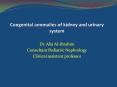 Congenital anomalies of kidney and urinary system PowerPoint PPT Presentation