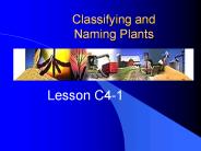 Classifying and Naming Plants
