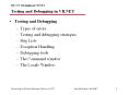 Testing and Debugging in VB.NET PowerPoint PPT Presentation