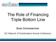 The Role of Financing Triple Bottom Line