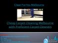 Cheap Carpet Cleaning Melbourne with Proficient Carpet Cleaners