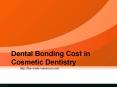 Dental Bonding Cost in Cosmetic Dentistry PowerPoint PPT Presentation