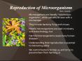 Reproduction of Microorganisms PowerPoint PPT Presentation