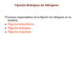 Procesos responsables de la fijaci PowerPoint PPT Presentation
