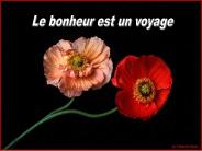 Le bonheur est un voyage