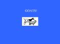 GOATS! PowerPoint PPT Presentation