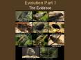 Evolution Part 1 PowerPoint PPT Presentation