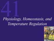 Physiology, Homeostasis, and Temperature Regulation