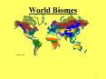 World Biomes PowerPoint PPT Presentation