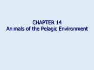 CHAPTER 14  Animals of the Pelagic Environment