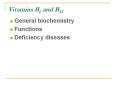 Vitamins%20B6%20and%20B12 PowerPoint PPT Presentation