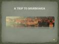 A Trip in Sighisoara PowerPoint PPT Presentation