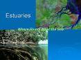 Estuaries PowerPoint PPT Presentation