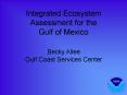 Integrated Ecosystem Assessment for the Gulf of Mexico PowerPoint PPT Presentation