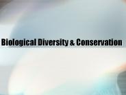 Biological%20Diversity%20