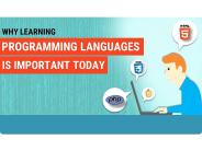 Why Learning Programming Languages is Important Today