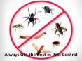 Always Get the Best in Pest Control PowerPoint PPT Presentation