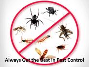 Always Get the Best in Pest Control
