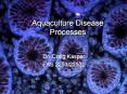 Aquaculture Disease Processes PowerPoint PPT Presentation