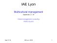 IAE Lyon PowerPoint PPT Presentation