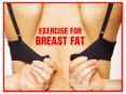 Exercise For Breast Fat PowerPoint PPT Presentation