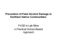 Prevention of Fetal Alcohol Damage in Northern Native Communities: PowerPoint PPT Presentation