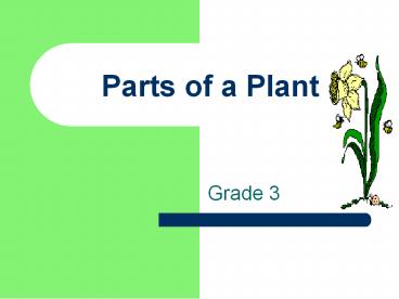Parts of a Plant