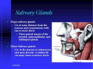 Salivary Glands