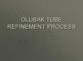 DLUBAK TUBE REFINEMENT PROCESS PowerPoint PPT Presentation