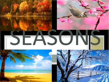 SEASONS