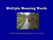 Multiple Meaning Words