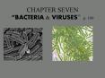 CHAPTER SEVEN  PowerPoint PPT Presentation