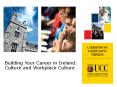 Building Your Career in Ireland: Culture and Workplace Culture PowerPoint PPT Presentation