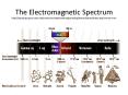 The Electromagnetic Spectrum http://amazing-space.stsci.edu/resources/explorations/groundup/lesson/basics/index.php?return=true PowerPoint PPT Presentation