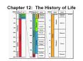 Chapter%2012:%20The%20History%20of%20Life PowerPoint PPT Presentation