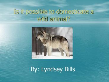 Is it possible to domesticate a wild animal?