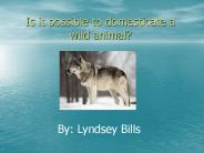Is it possible to domesticate a wild animal?