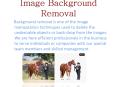 Image Background Removal PowerPoint PPT Presentation