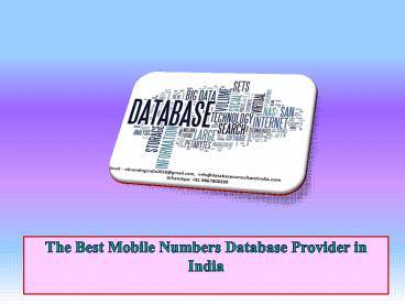 The Best Mobile Numbers Database Provider in India