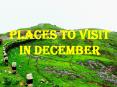 Find Out the Best Kerala Tour Packages|Gogeo Holidays PowerPoint PPT Presentation