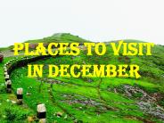 Find Out the Best Kerala Tour Packages|Gogeo Holidays