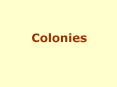 Colonies PowerPoint PPT Presentation