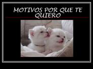 MOTIVOS%20POR%20QUE%20TE%20QUIERO