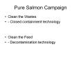 Pure Salmon Campaign PowerPoint PPT Presentation